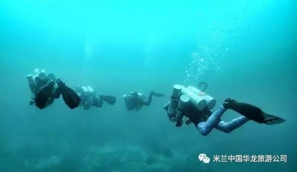 活力满满俏市集 扫码阅读手机版